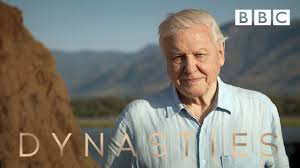 A life on our planet film. Sir David Attenborough On His New Series Dynasties Bbc Youtube