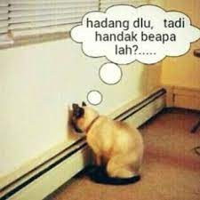 Padahal jelas, ketika itu belum ada alat untuk mengedit sebuah f. 41 Ide Lucu Unik Dan Aneh Gambar Lucu Lucu Gambar