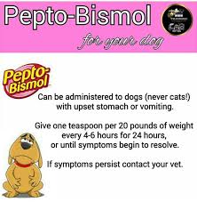 Pepto Bismol For Your Dog Dog Care Tips Baby Dogs Dog Care