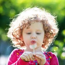 Balanced Chiropractic