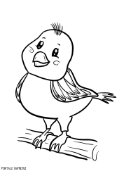 Disegni Di Uccelli Da Stampare E Colorare Gratis Portale Bambini Disegni Di Uccelli Uccello Colorato Disegni