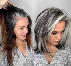 Blending Grey Roots With Dark Hair Novocom Top