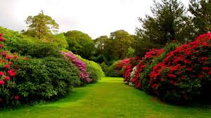 .photos download for commercial use in hd high resolution jpg images format. Flower Garden Wallpapers Top Free Flower Garden Backgrounds Wallpaperaccess
