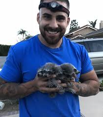 Pest control burnaby, canada, pest removal services, critters, extermination, vermin control, rat catcher. Animal Removal Services In Northridge Ca