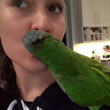 I spy with my little eye something green! 🦜 (credit: Vianny Anaya Amado)  #rllphotocontest