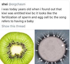 Harry Styles The Biologist Harry Styles Harry Edward Styles Style