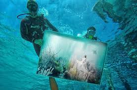 The property, believed to be the world's. Art Goes Underwater Maldives Resort Stages Exhibition Under The Sea Underwater Art Art Show Ocean Art