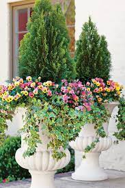 125 Container Gardening Ideas Fall Container Gardens Winter Container Gardening Container Flowers