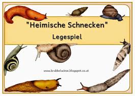 Blog Mit Selbst Erstellten Unterrichtsmaterialien Fur Die Grundschule X2f Volksschule Zum Download Mathematik Schnecken Grundschule Wissenschaft Fur Kinder