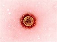 Jun 04, 2021 · two doses will be reserved for each person, with the second dose administered 21 days after the first dose, as recommended by pfizer and biontech. Pfizer Biontech And Sinovac Vaccines Boost Sars Cov 2 Neutralizing Responses