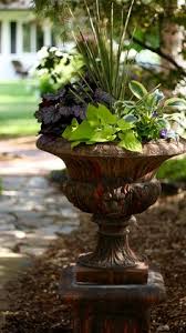 Since the canopies of larger trees and shrubs block as much as 95% of the sunlight that reaches the forest floor, understory plants have evolved to utilize the very little light they do receive to photosynthesize and reproduce. 21 Shade Plants Ideas In 2021 Shade Plants Plants Planting Flowers