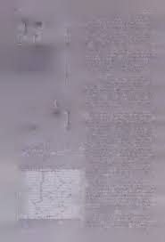 Image result for Philyrophyllum schinzii