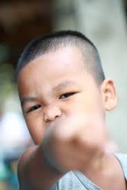 Pathways to Creating Trauma Competent Care in Community Mental Health