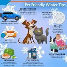 We transform the lives of cats and dogs in need. Homeward Bound Pets Humane Society Hb Pets Twitter