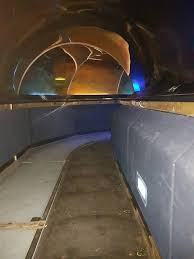 Maybe you would like to learn more about one of these? Deep Sea World Aquarium With Disabled Access Euan S Guide