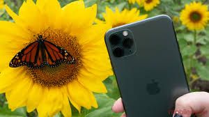 Iphone 12 Pro And Iphone 12 Pro Max Leak In Blue Graphite Gold And Silver Colours