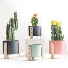 Colorful Succulent Planter Wooden Planters Indoor Planter Small Planter Pot Indoor Planter Cute Planter C Flower Pots Cheap Flower Pots Flower Pot Garden