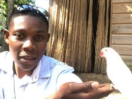 Jamaica Experience Tour (2026)