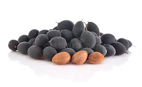 Image result for Dialium