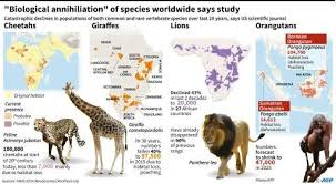 Earths Major Mass Extinction Events