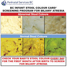 blanket check car seat check poop colour chart huh