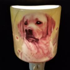 Mr Mjs Dog Night Light Wayfair