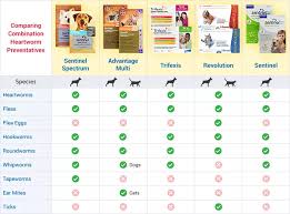 51 586 просмотров 51 тыс. 1800petmeds Heartworm Cat Fleas Heartworm Prevention