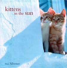 Kittens In The Sun Silvester Hans 9780811825719 Books Amazon Com