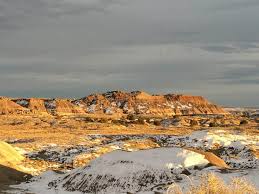 The main park road will take. Petrified Forest National Park With Kids Carful Of Kids
