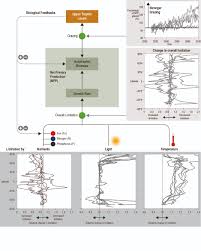 Chapter 5 Changing Ocean Marine Ecosystems And Dependent