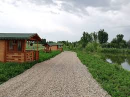 Includes transpose, capo hints, changing speed and much more. La Fantana Cu CumpÄƒnÄƒ Home Facebook