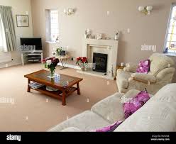 نتیجه جستجوی لغت [uncluttered] در گوگل