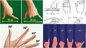 You can even fold the banknote in half, then concertina the folds on each half to get a total of six equal width folds in the paper, helping you to measure the last few. How To Measure Inches Without A Ruler Accurately Ultimate Guide