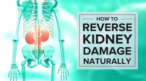 Renal friendly homemade sausage patties recipe. How To Reverse Kidney Damage Naturally