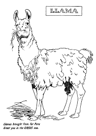 Maybe you would like to learn more about one of these? Llama Coloring Pages Best Coloring Pages For Kids