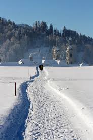 Winterwanderwege in ischgl im paznaun. Einsiedeln Schwedentritt Sihlsee Winterwandern Outdooractive Com