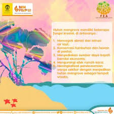 Ekosistem mangrove di provinsi bengkulu, Pentingnya Hutan Bakau Bagi Lingkungan Hidup Bem Fisip Ui
