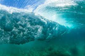 As a hurricane's winds spiral around and around the storm, they push water into a mound at the storm's center. What Happens To Marine Wildlife During Hurricanes