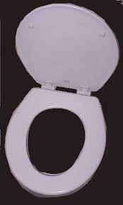 We did not find results for: Toilet Seat Simple English Wikipedia The Free Encyclopedia