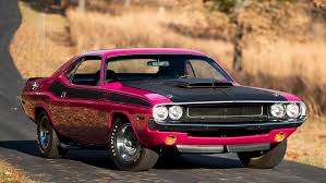 Image result for Furious Fuchsia 2010 Challenger
