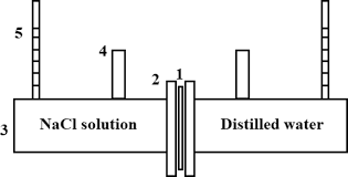 Water molecules stick to one another on the surface. Synthesis And Characterization Of Semi Permeable Graphene Graphene Oxide Membranes For Water Desalination Springerlink