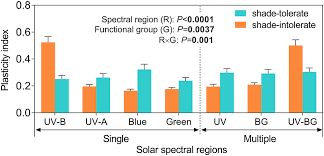 We have deep expertise in removing bed bugs, mice & rates, bees & wasps, spiders of all kinds, cockroaches, moths & everything in between. Https Www Dora Lib4ri Ch Eawag Islandora Object Eawag 3a22283 Datastream Pdf Neale 2021 Environmental Effects Of Stratospheric Ozone 28published Version 29 Pdf