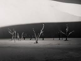 Jeklena plati??a 6.5jx16 et55 5x114.3 sredinska luknja: Fotowettbewerb Der Minimalisten Die Besten Bilder In Schwarz Weiss Der Spiegel