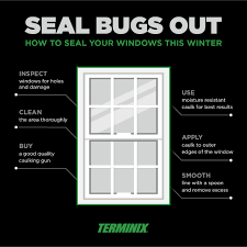 In case of getting rid of mosquitoes, light a few camphor balls within a closed room and leave it for 15minutes to half an hour. How To Seal Windows To Help Keep Bugs Out Terminix