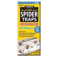 Trednot sticky traps for insect control. Spider Traps 9 Best Selling Spider Traps How To Use Them Pest Wiki