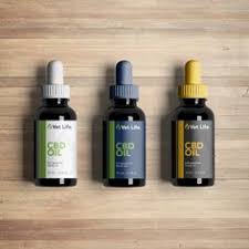 Download 25 Cbd Package Design Ideas In 2021 Cbd Packaging Design Design