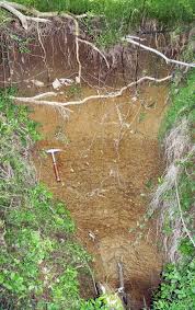 a resident's guide to sinkholes
