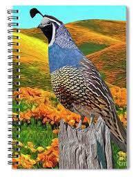 The california quail is the official state bird of california, and is the only state bird whose name includes the full name of its state. California State Bird And Flower Spiral Notebook For Sale By Walter Colvin