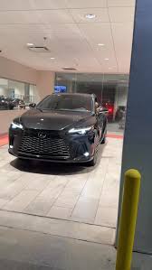 Image result for Manganese Luster 2025 LZ