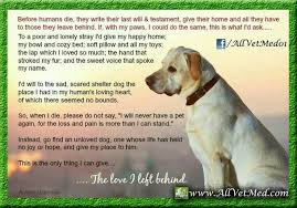 This Is A Dedication To Those Of Us Who Have Lost Our Much Beloved Family Member Dog Poems Dog Quotes Old Dogs